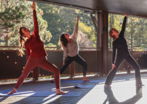 Mount Lemmon Yoga