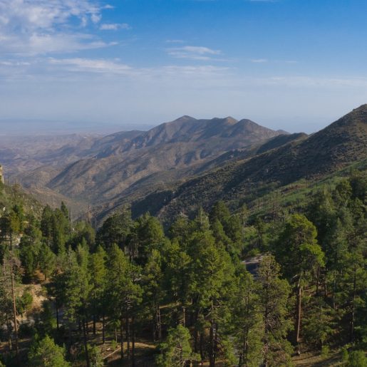 Mount Lemmon aerial image 2 by Mike Shubic