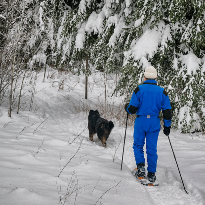 Snow shoeing