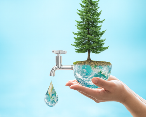 Sustainablity vertical